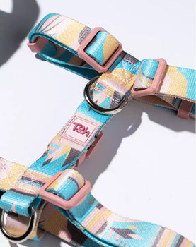 Conjunto Peitoral H e Guia Atacama